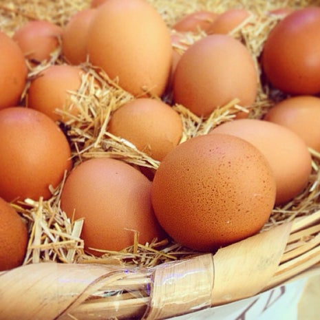 Organik Köy Ürünleri Mağazası