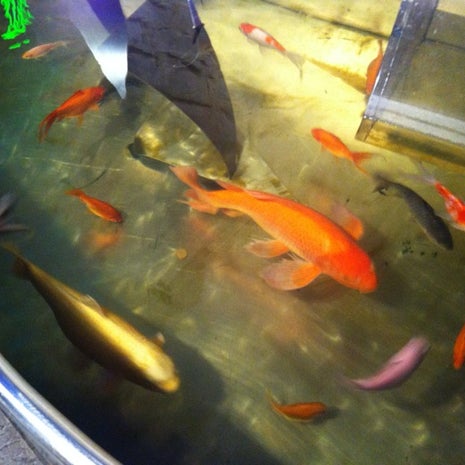 Marshall's Grandview