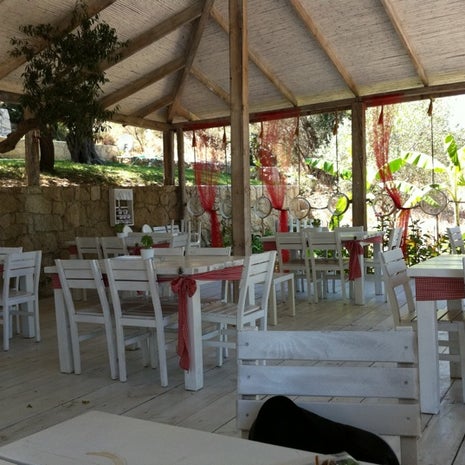 Zeytinaltı