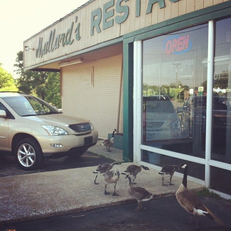 Mallard's Restaurant