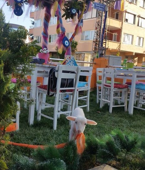 Müjdeli