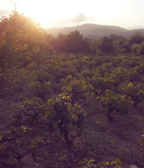 Kirazlı Köy Sofrası