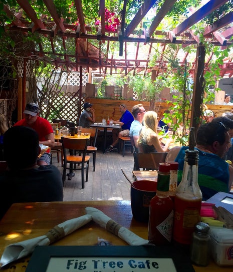 Fig Tree Cafe