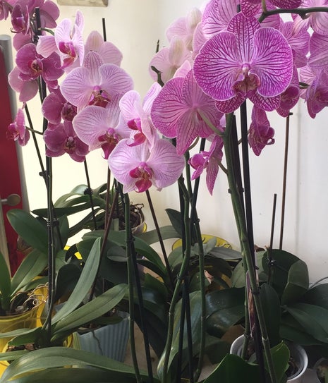 Rozmarin Cafe&Restaurant