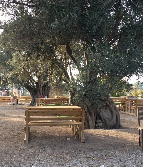 Ceviz Reçeli Muhabbet Sofrası Urla