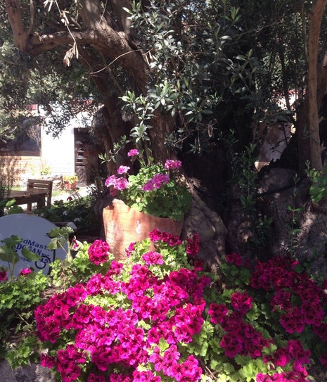 kırkahvesi alaçatı