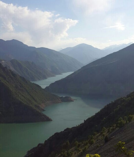 ciğerin yeri varyant