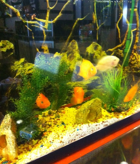 Kabiloğlu Pasta Cafe