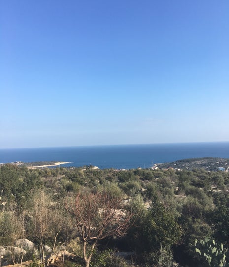 Dilek Kafeterya Köy Kahvaltısı