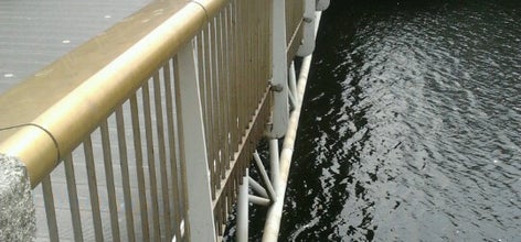 Dublin bridges 09