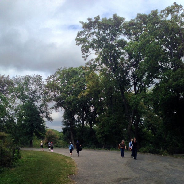 oldest tree in central park central park northern end oldest tree in central park central park northern end