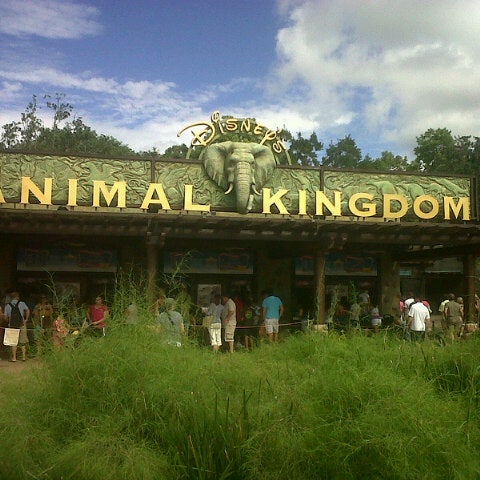 Animal Kingdom Parking Lot - Walt Disney World Resort - Walt Disney World