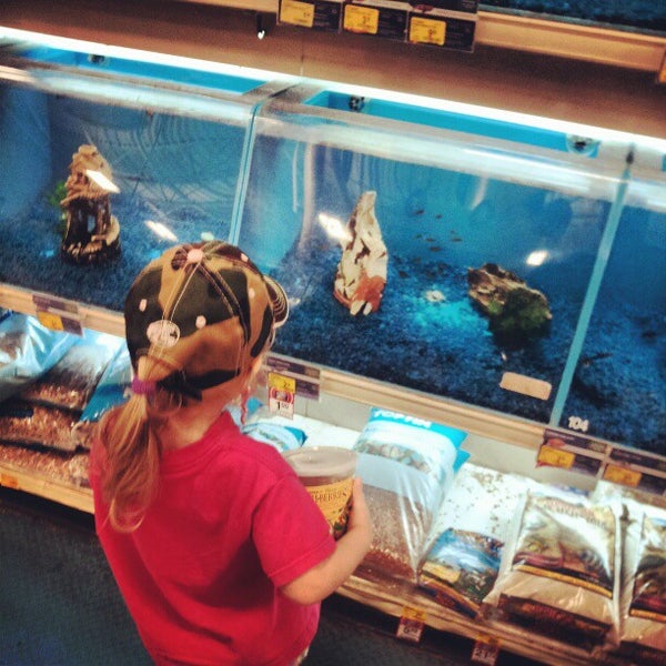 PetSmart Pet Store in Tallahassee