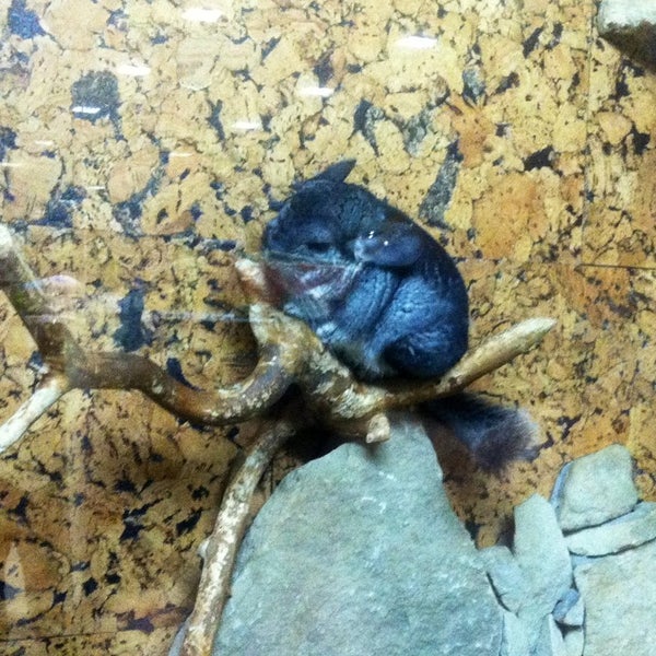 Zoo K9 Pet Store in Centru