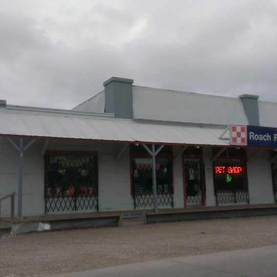roach feed seed garland tx roach feed seed garland tx