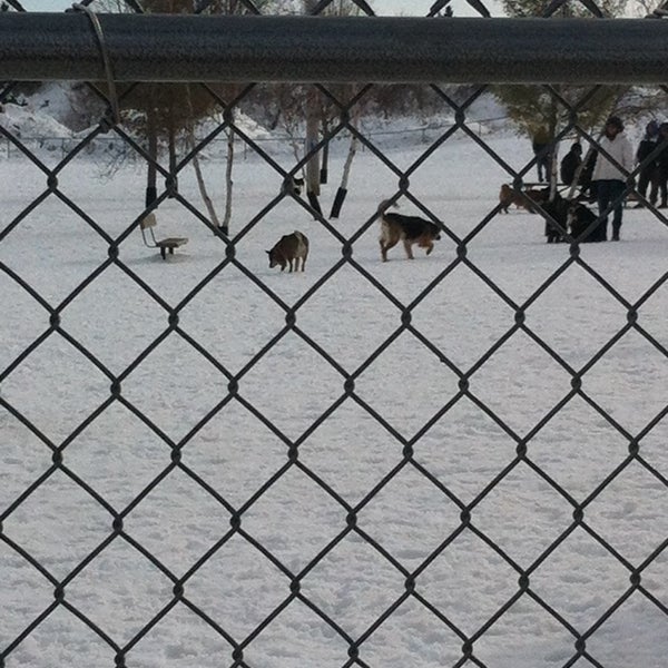 Dog Park Rochester Mn Dog Park Rochester Mn