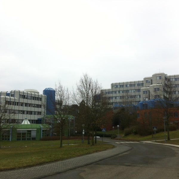stellenangebote uni trier
