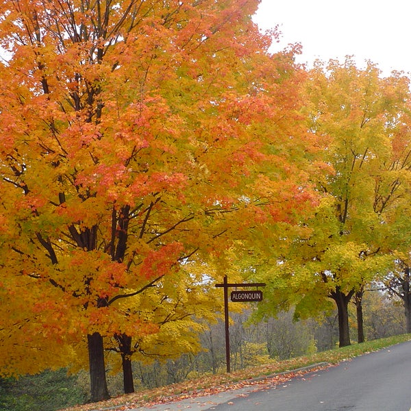 Settlers Cabin Park - Robinson Township, PA