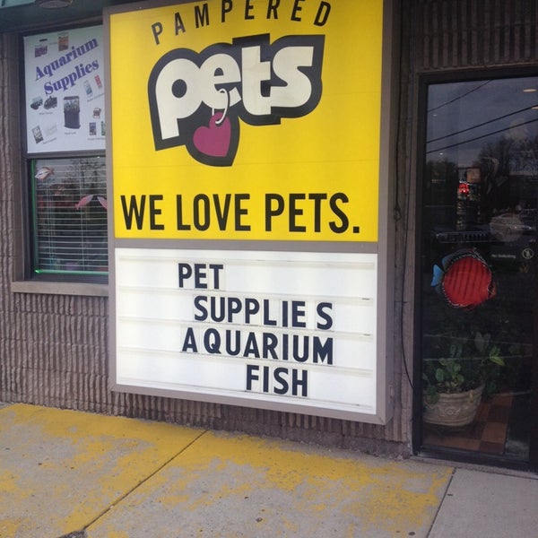 pered pets on monroe pet store in toledo pered pets on monroe pet store in toledo
