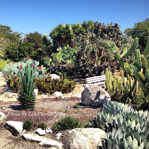 South Coast Botanic Garden Garden in Palos Verdes Estates