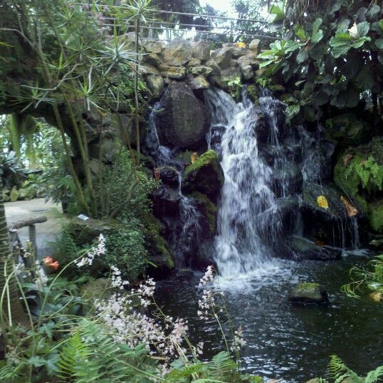 Ott�s Exotic Plants Schwenksville, PA