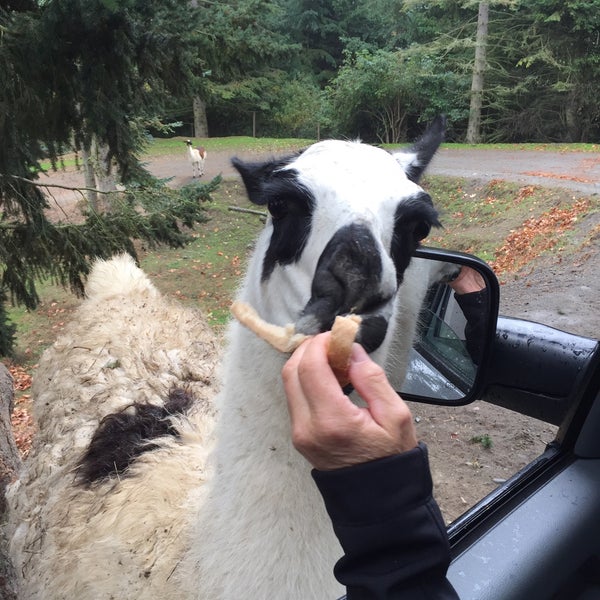 Olympic Game Farm 14 tips