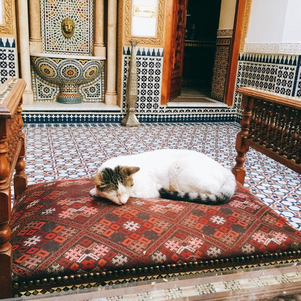 Where's Good? Holiday and vacation recommendations for Marrakech, Morocco. What's good to see, when's good to go and how's best to get there.