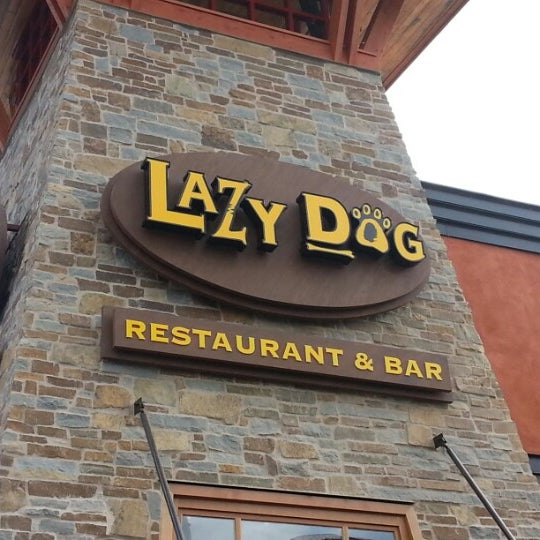 Lazy Dog Restaurant & Bar - 38 tips from 2020 visitors