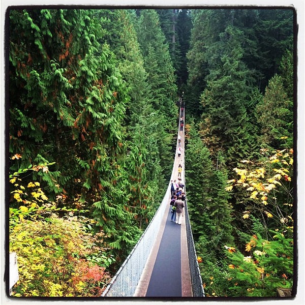Capilano suspension bridge discount coupons