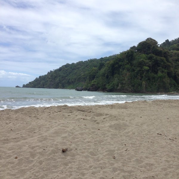 Grande Riviere Beach - Beach in Grande Riviere