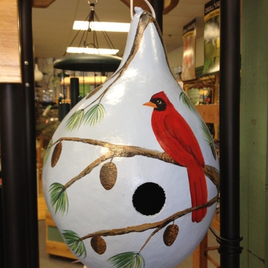 bird store pet store in macon bird store pet store in macon