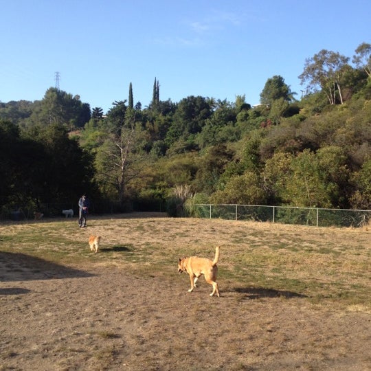 Laurel Canyon Dog Park - Dog Run in Los Angeles