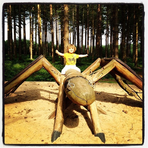 Sherwood Pines Edwinstowe, Nottinghamshire