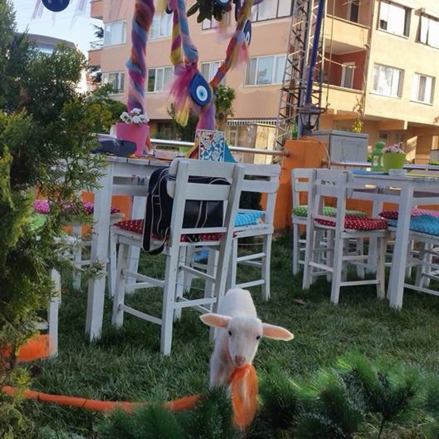 kahvaltı fotoğrafı