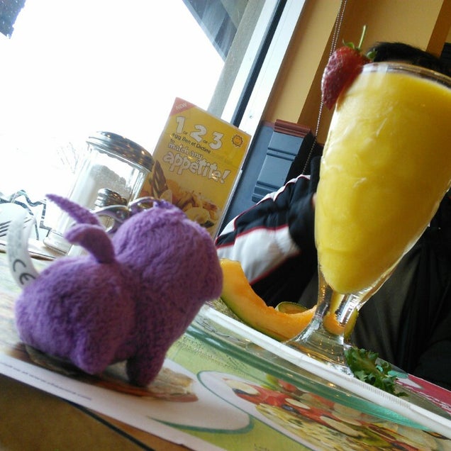 breakfast photo