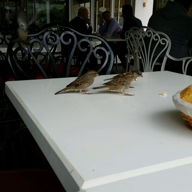 kahvaltı fotoğrafı