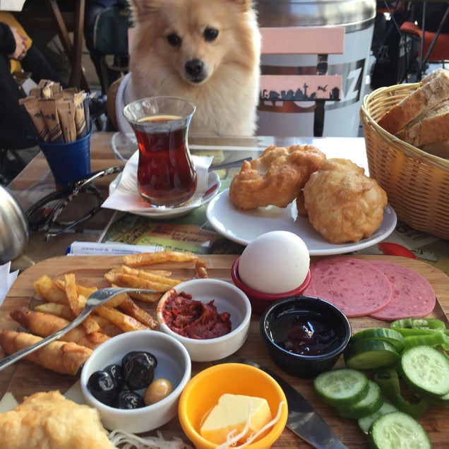 kahvaltı fotoğrafı