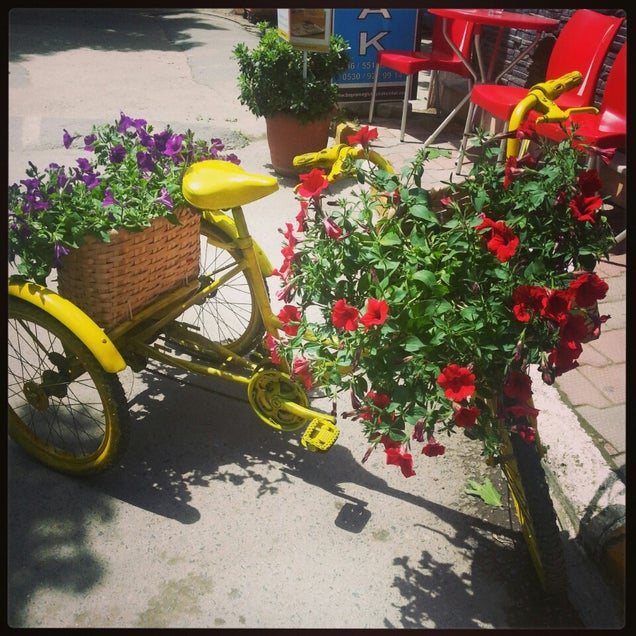 kahvaltı fotografı