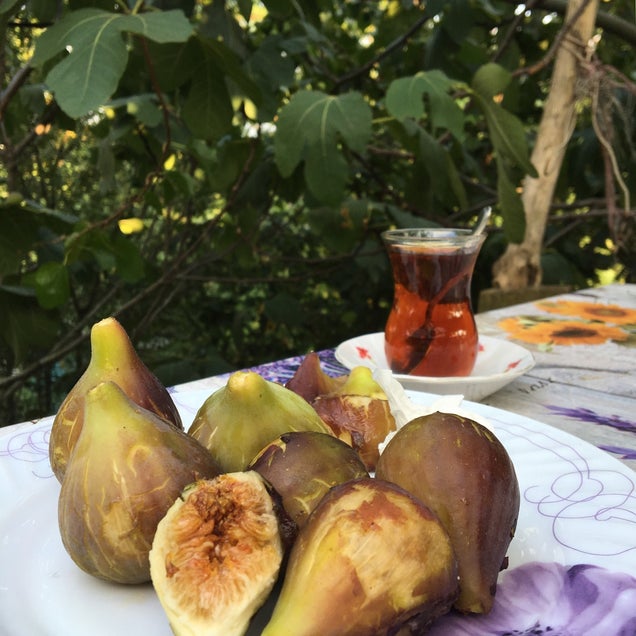 kahvaltı fotoğrafı