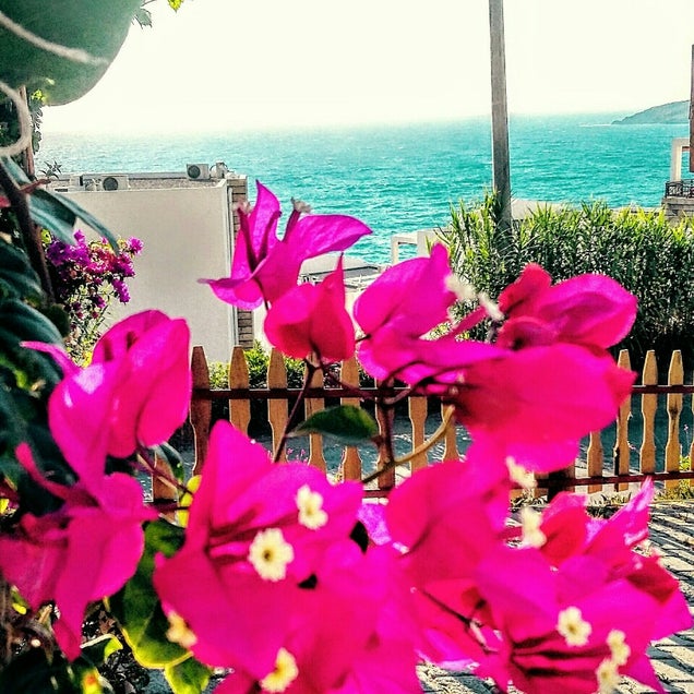 kahvaltı fotografı