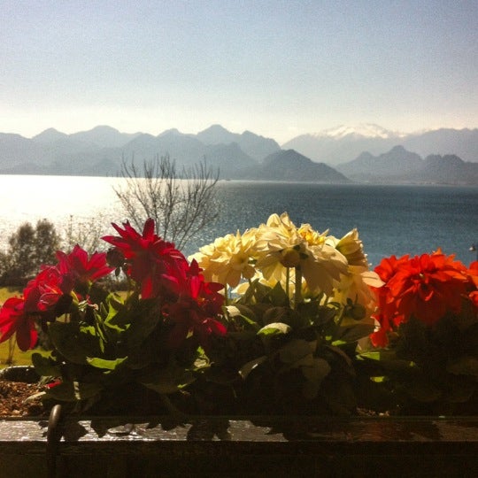 kahvaltı fotografı