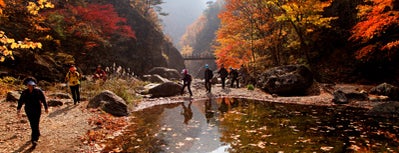 주왕산국립공원 is one of 한국관광 100선.