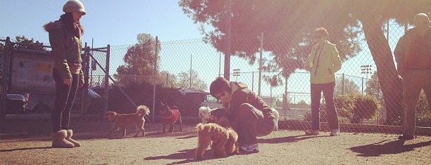 Dog Parks In Valencia Ca Dog Parks In Valencia Ca