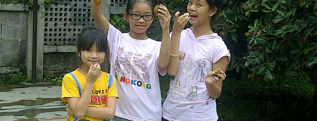 Gereja Katolik & Biara di Indonesia