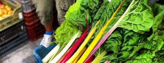 Biopiac (Organic Farmers Market) is one of The 15 Best Places for An Organic Food in Budapest.