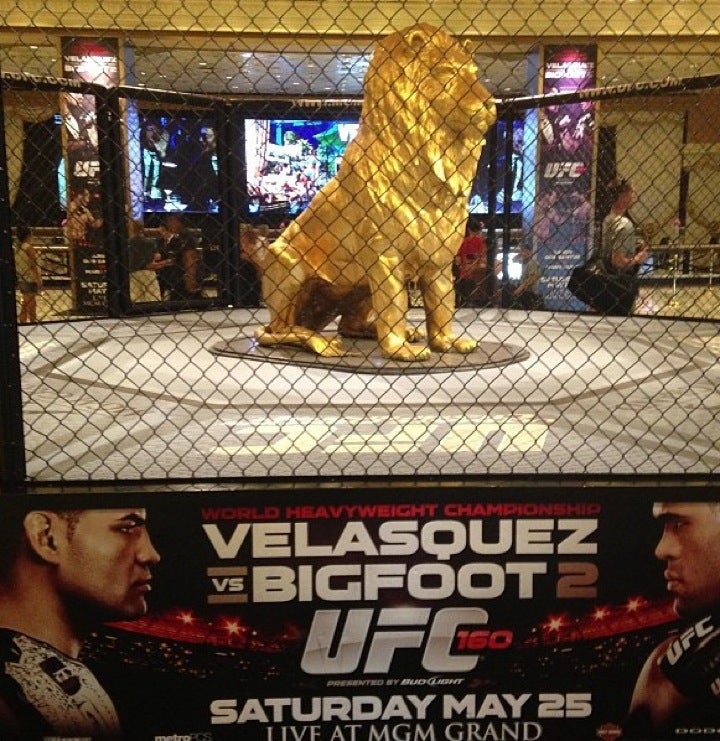 MGM Grand Hotel & Casino