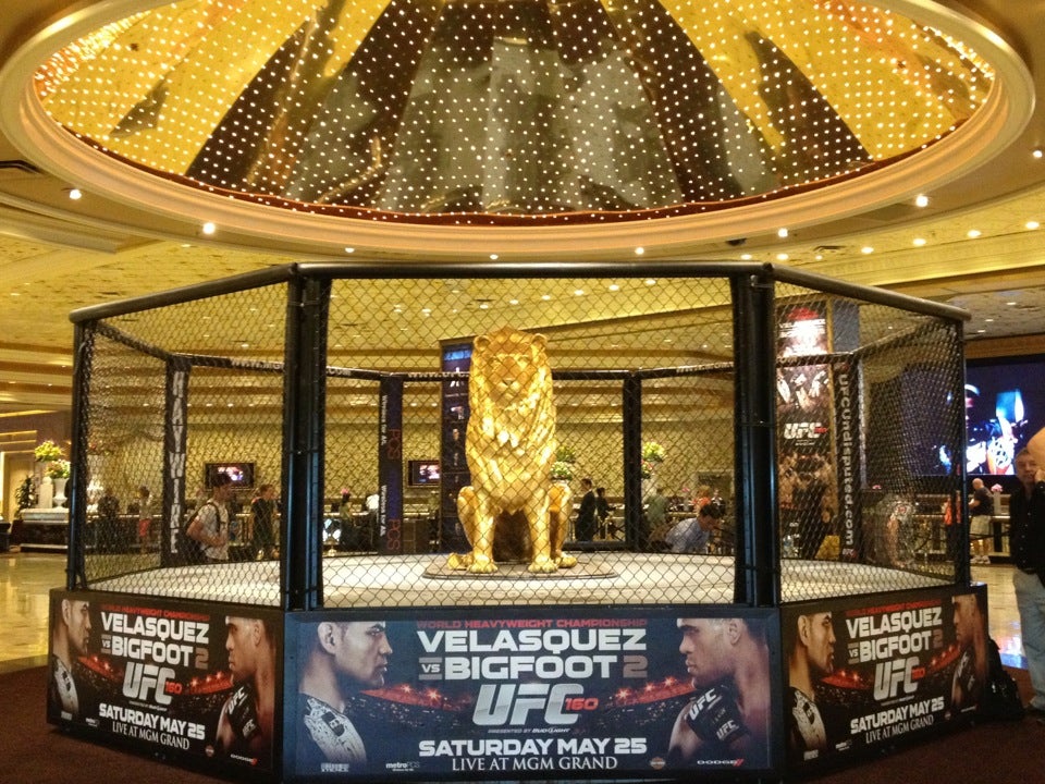 MGM Grand Hotel & Casino
