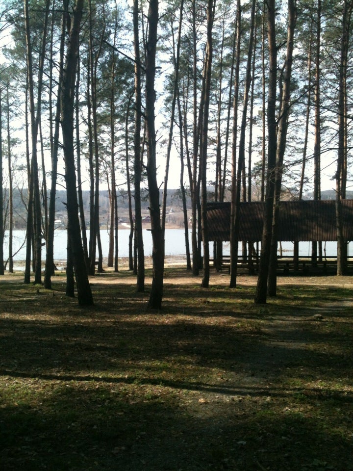 Пикник парк кафе. Пикник-парк Белгород. Пикник парк Соломино. Пикник парк Дубовое. Пикник парк Шумиха.