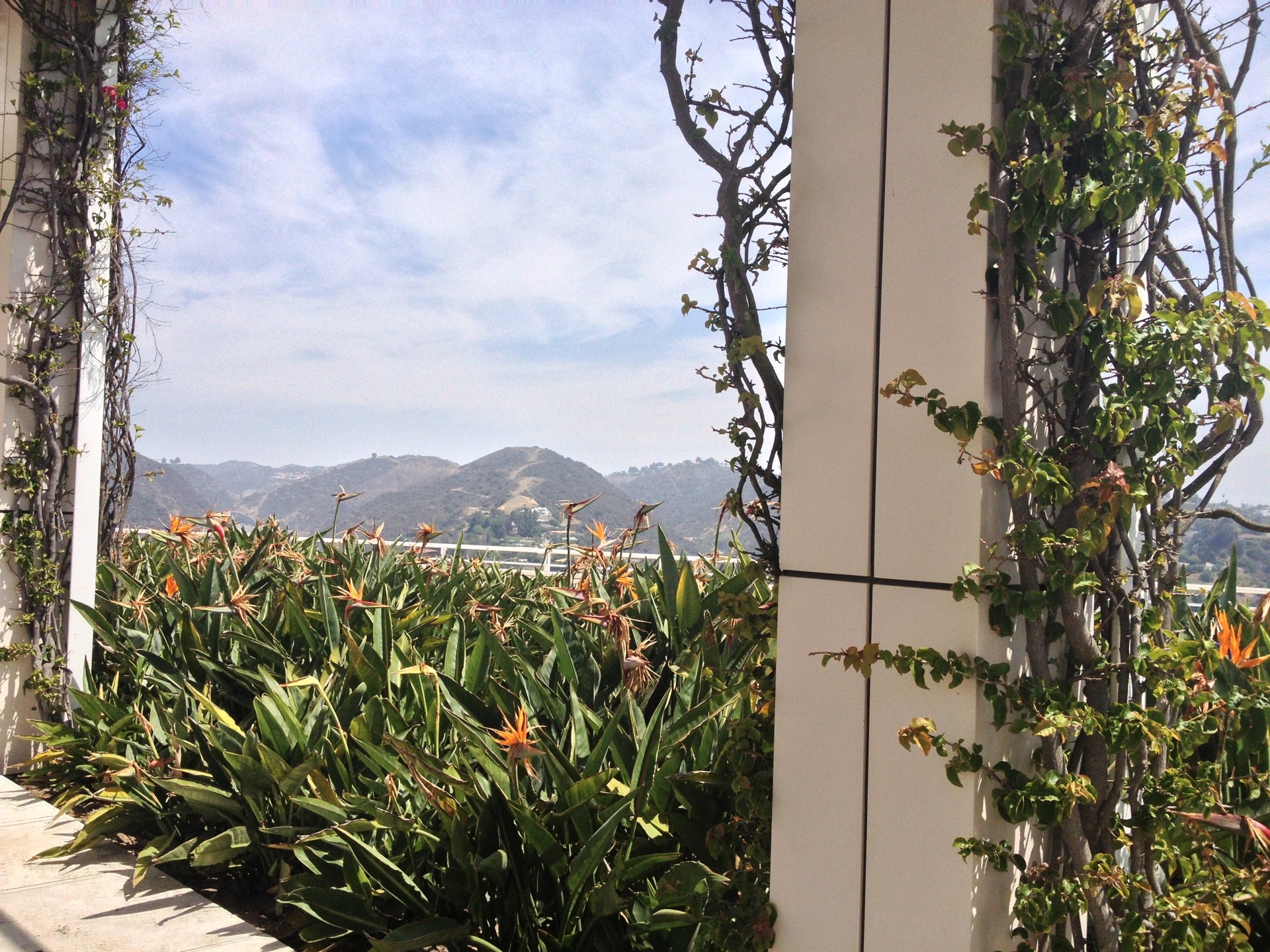 The Getty