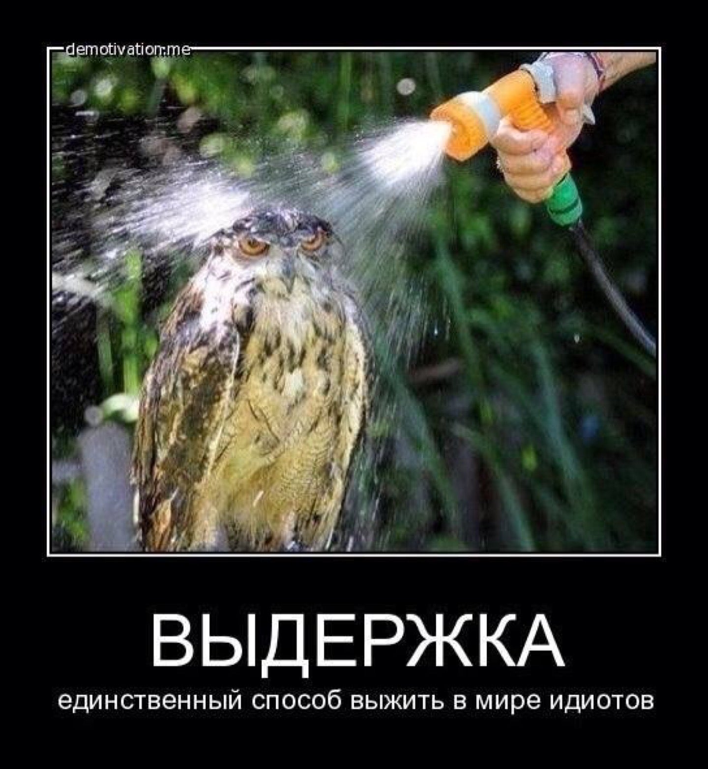 59152763_YIgmdMfKbJbH3MCogFiYCVkokh1EKmqhYCGMsoDCeyQ.jpg